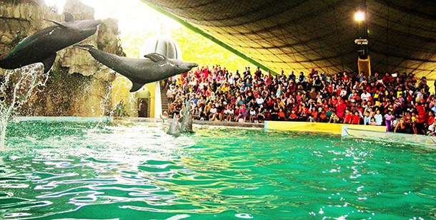 Ancol Dreamland Park