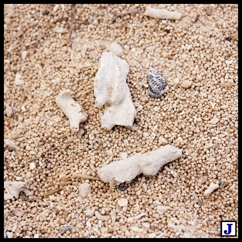  photo IMG_3046_zpse3ff3b4c.jpg