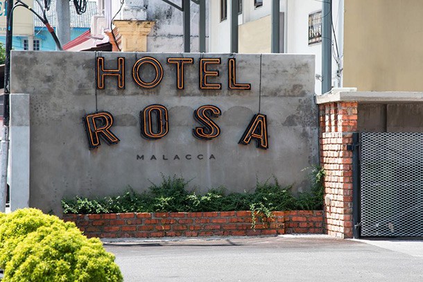 Rosa Malacca - Main Image