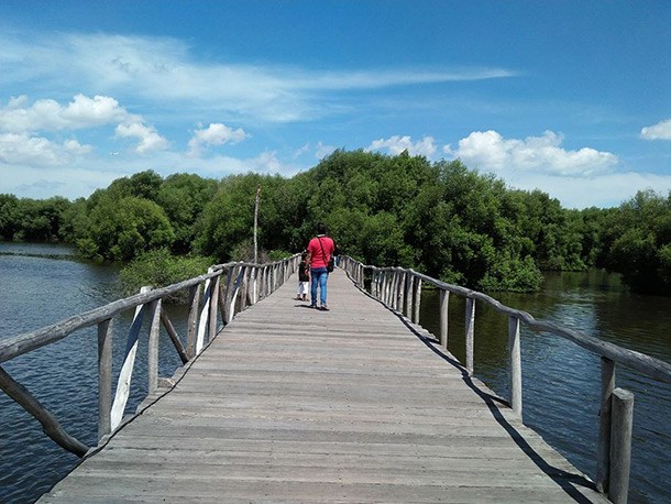 Taman Wisata Alam Angke Kapuk