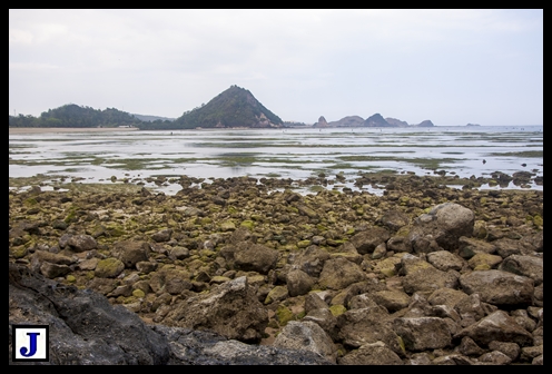  photo IMG_3055_zps341fb3df.jpg