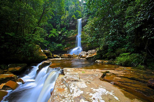 Maliau Basin