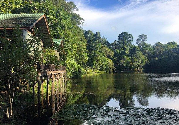Rainforest Discovery Centre
