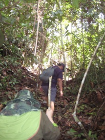 Trekking