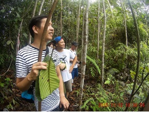 Trekking