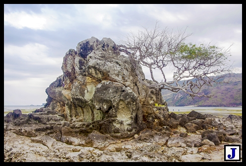  photo Untitled_HDR3_zps225de654.jpg