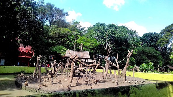 Kebun Binatang Surabaya
